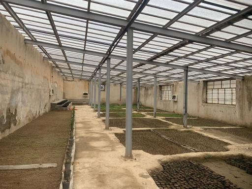 عکس گلخانه شهرداری