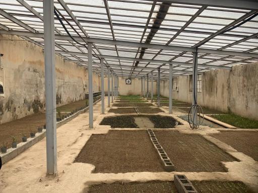 عکس گلخانه شهرداری