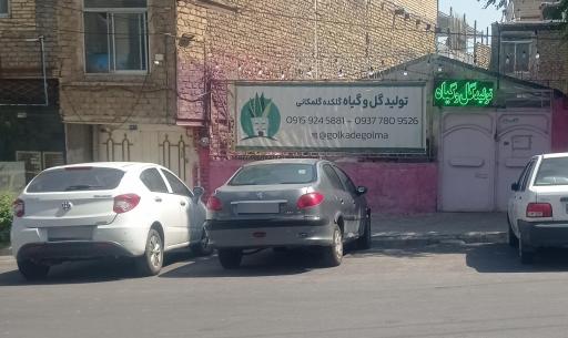 عکس فروشگاه گل و گیاه