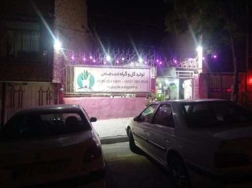 عکس فروشگاه گل و گیاه