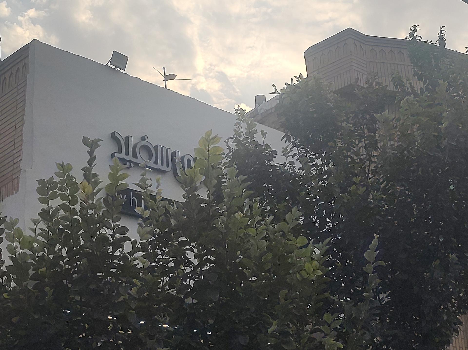 عکس گالری سفید