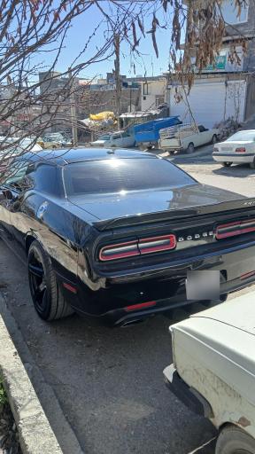 عکس جلوبندی سازی برادران شریفی -یزدان