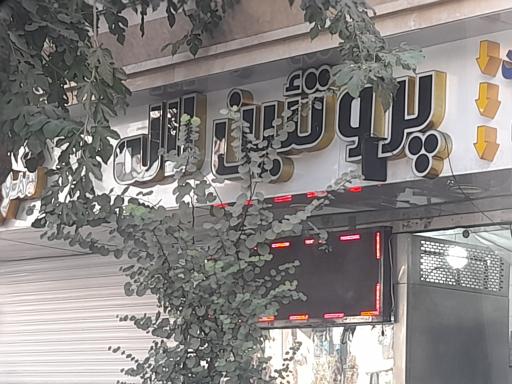 عکس پروتئین لاله