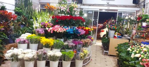 عکس گل فروشی کاملیا