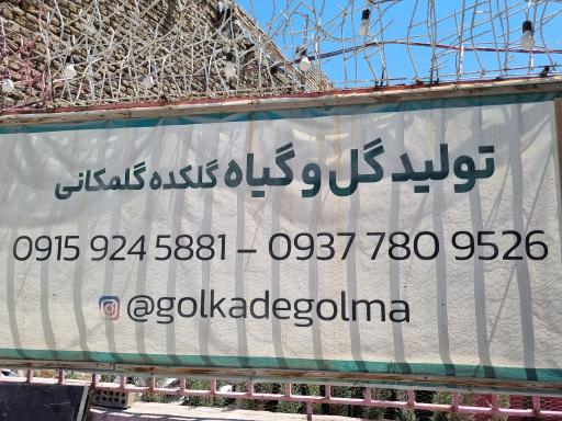 عکس فروشگاه گل و گیاه