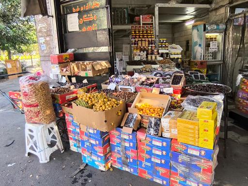 عکس خرماسرای نخل ایران کیمیا قلم