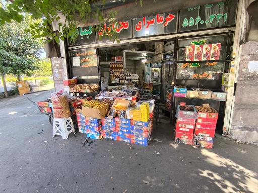 عکس خرماسرای نخل ایران کیمیا قلم