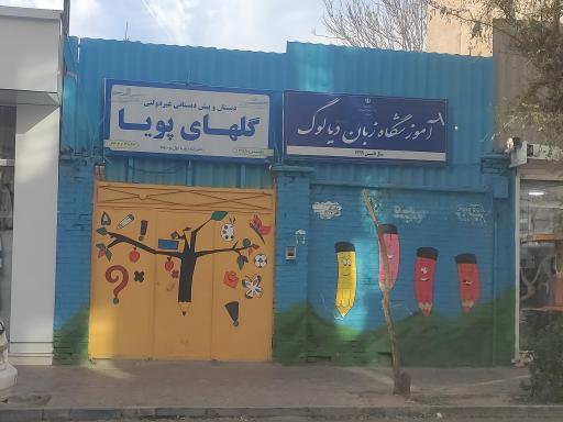 عکس دبستان غیردولتی گلهای پویا