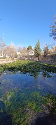 عکس سراب نیلوفر چنگایی