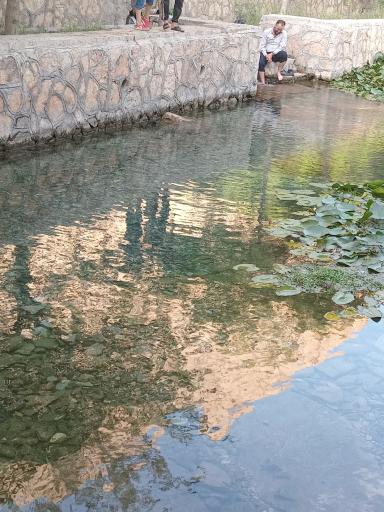 عکس سراب نیلوفر چنگایی