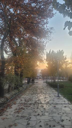 عکس بوستان پلیس (باغ اناری)