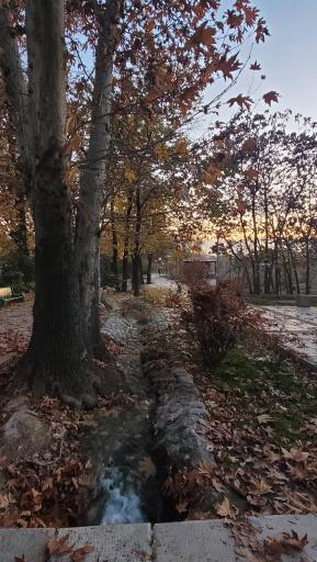 عکس بوستان پلیس (باغ اناری)