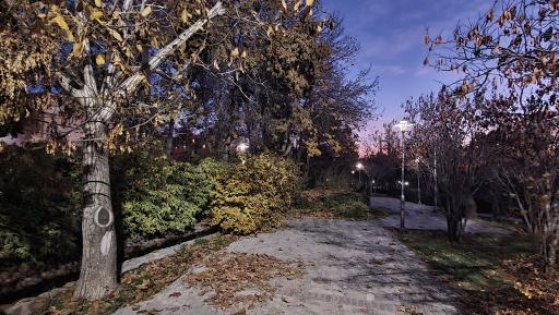 عکس بوستان پلیس (باغ اناری)