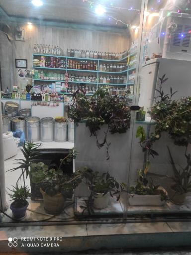 عکس عطاری نوفل لوشاتو