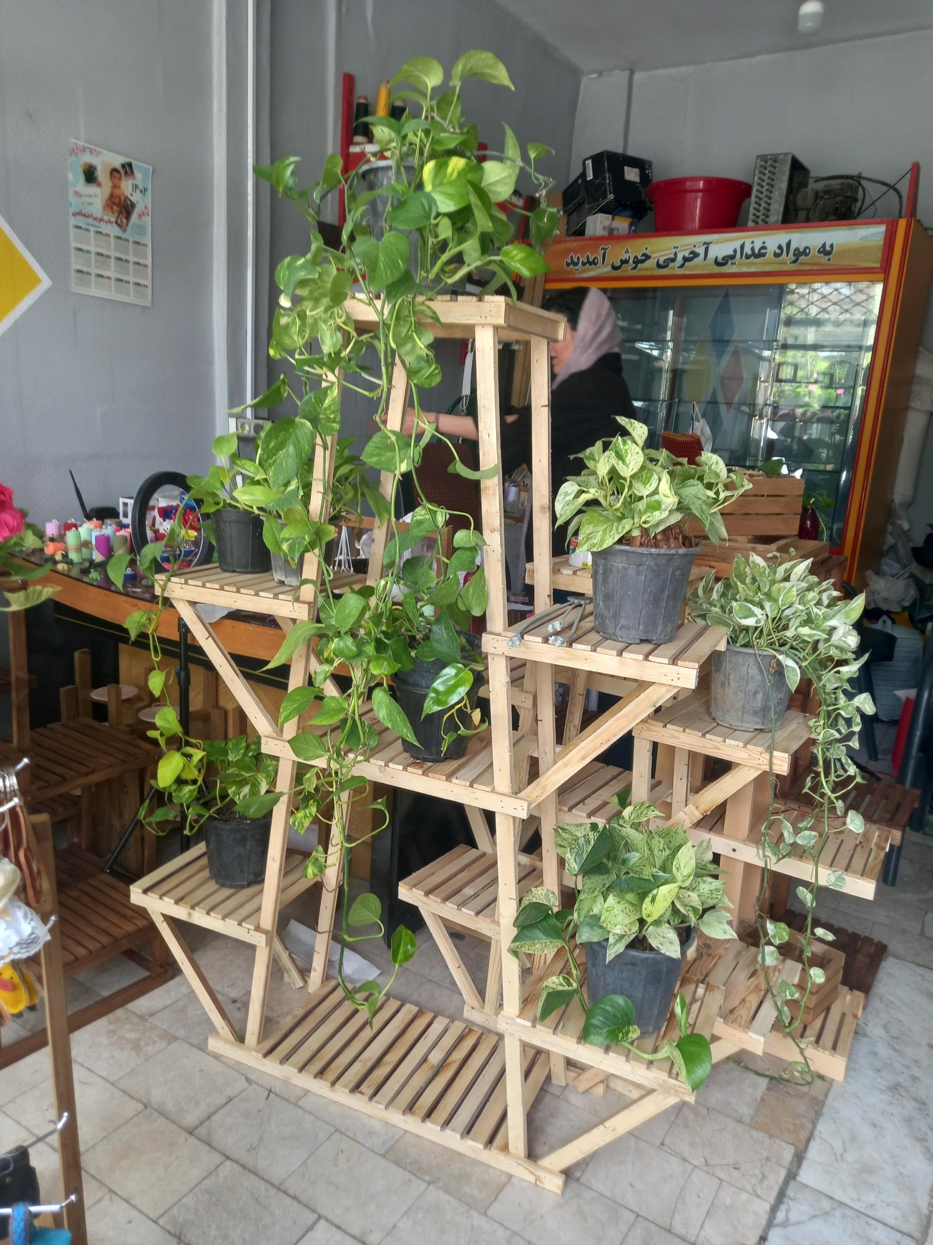 عکس دنیای استند های چوبی