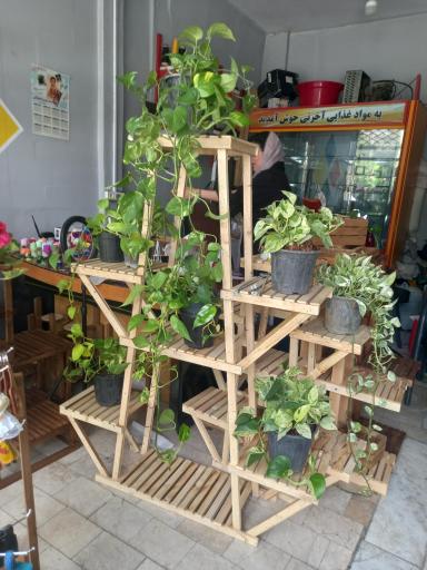 عکس دنیای استند های چوبی