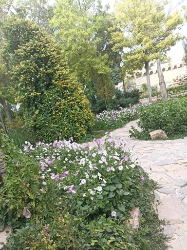 عکس پارک ملت بروجن