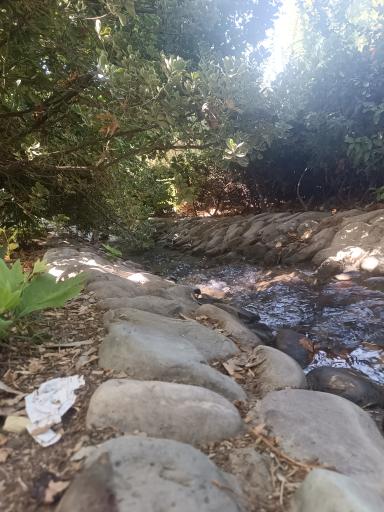 عکس بوستان پلیس (باغ اناری)