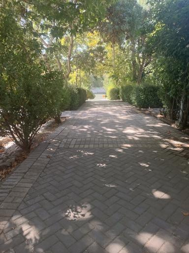 بوستان پلیس (باغ اناری)