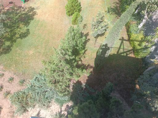 عکس بوستان پلیس (باغ اناری)