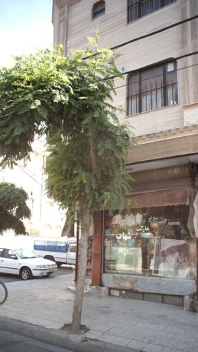 عکس سوپرمارکت شهاب