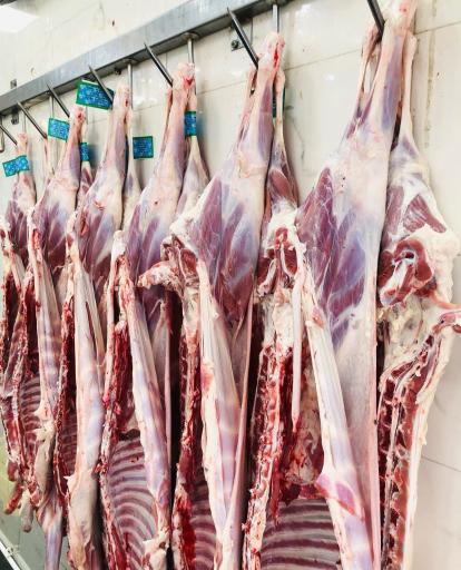 عکس پخش گوشت قهرمان