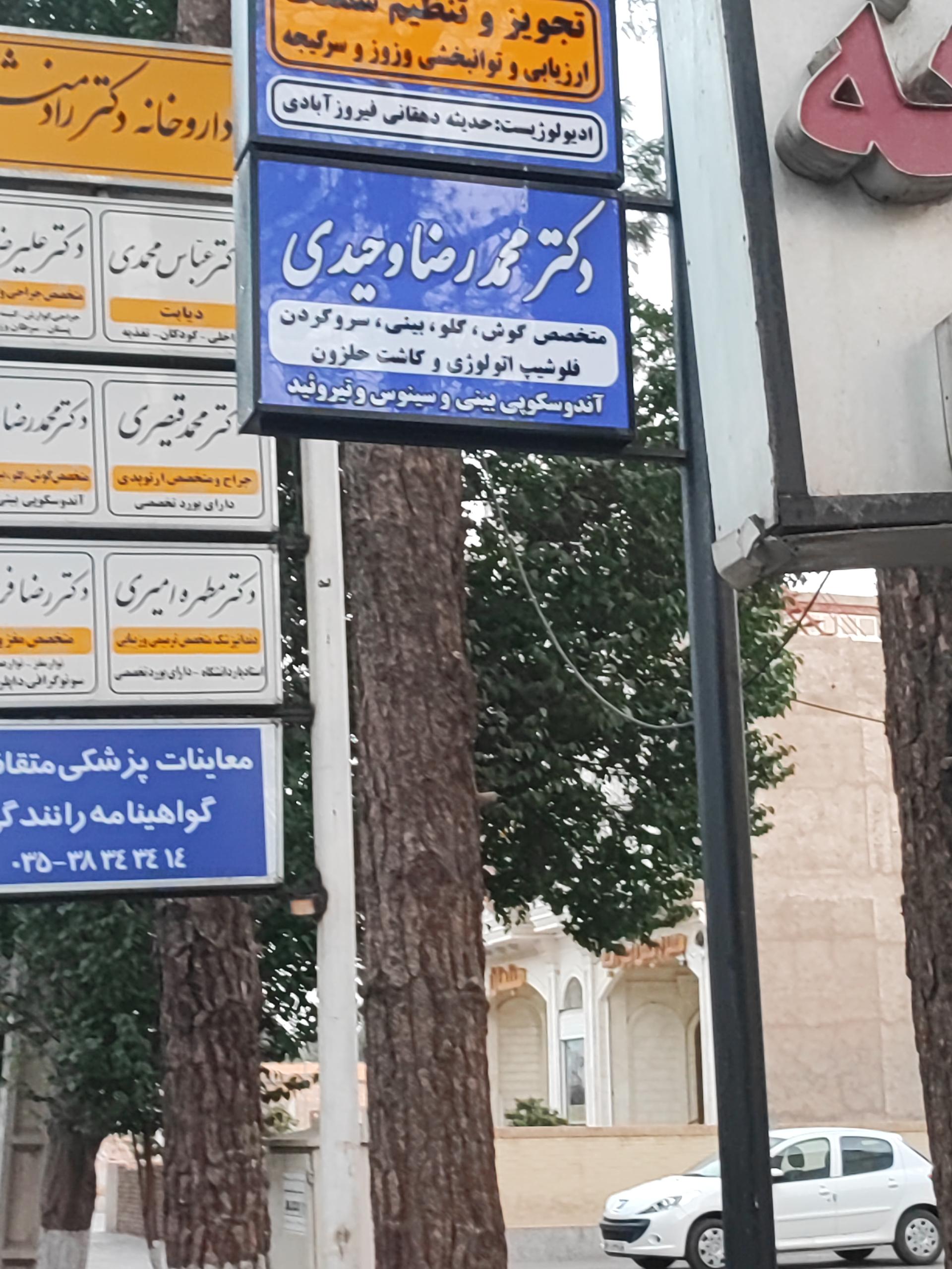 عکس دکتر محمدرضا وحیدی متخصص گوش حلق و بینی