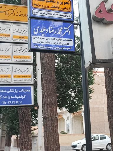 عکس دکتر محمدرضا وحیدی متخصص گوش حلق و بینی