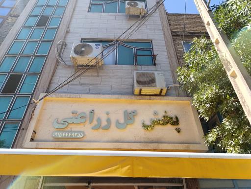 عکس پخش گل زراعتی