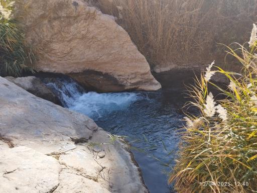عکس پارک جنگلی صحنه