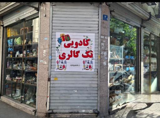 عکس تک گالری