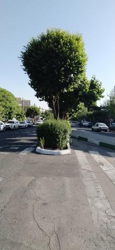 عکس فلکه چهارم تهرانپارس