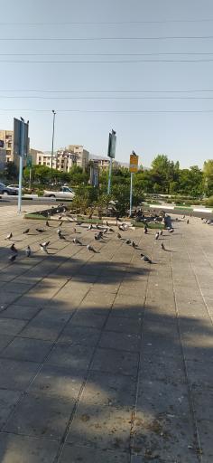 عکس فلکه چهارم تهرانپارس