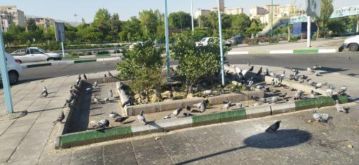 عکس فلکه چهارم تهرانپارس