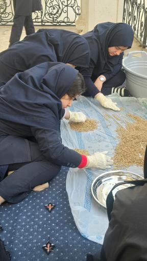 عکس دبیرستان دخترانه حلمی 