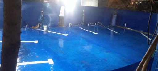 عکس کارواش برکه همایونی