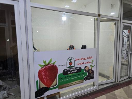 عکس دفتر مرکزی فروش شرکت رویش سبز سلامت