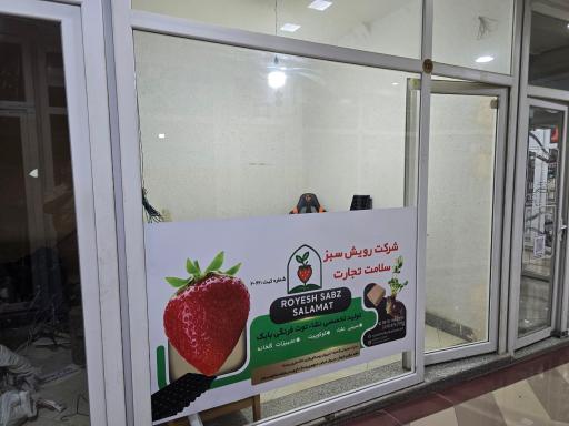 عکس دفتر مرکزی فروش شرکت رویش سبز سلامت