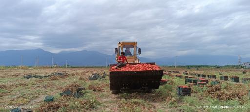 عکس تاسیسات صنایع غذایی گلستان عصاره