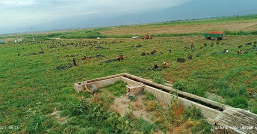 عکس تاسیسات صنایع غذایی گلستان عصاره