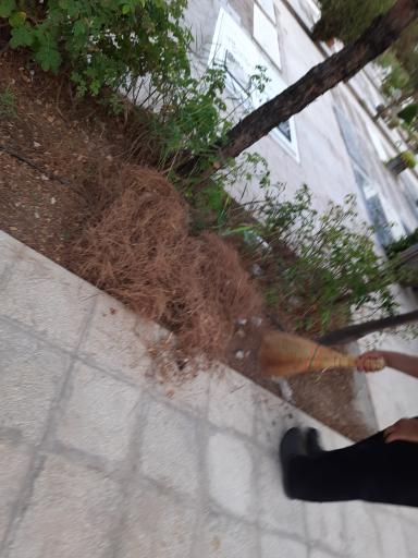 عکس آرامستان بهشت معصومه