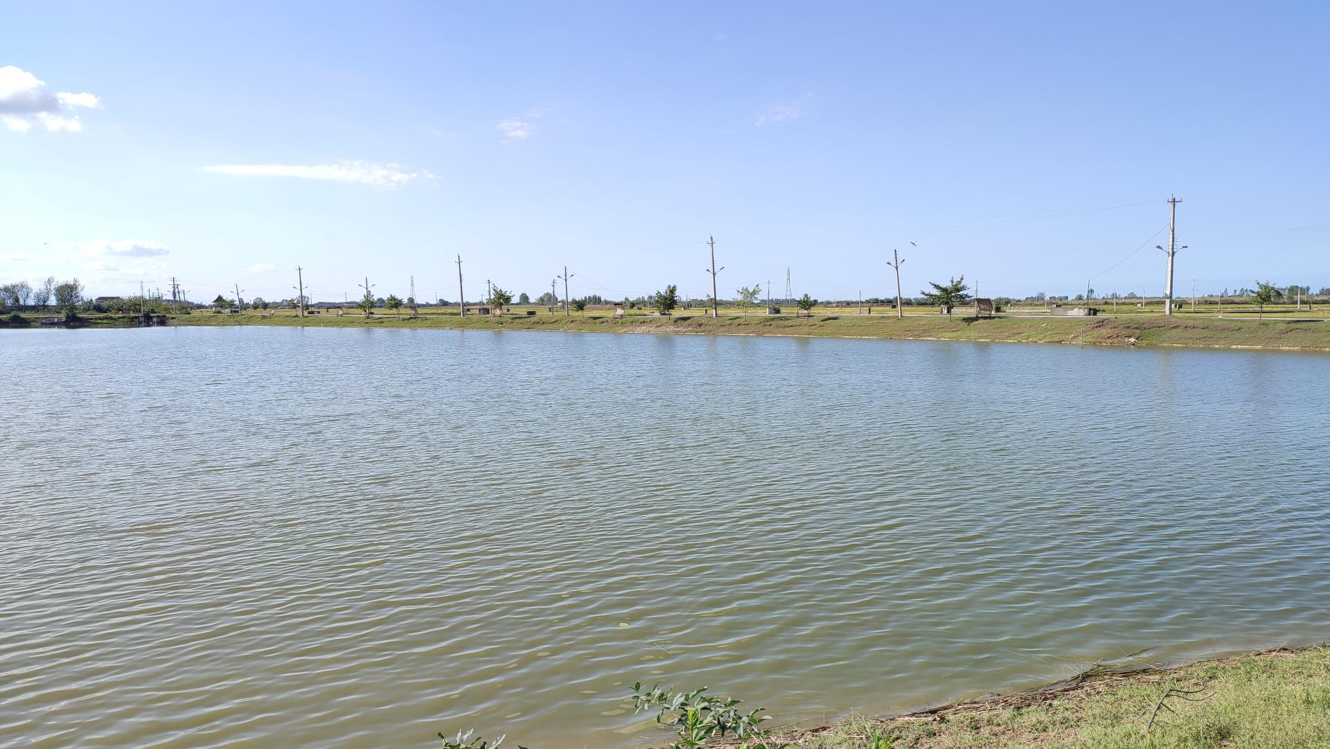 عکس تالاب موزیرج