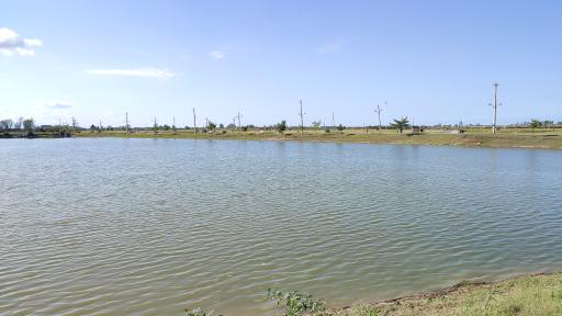 عکس تالاب موزیرج