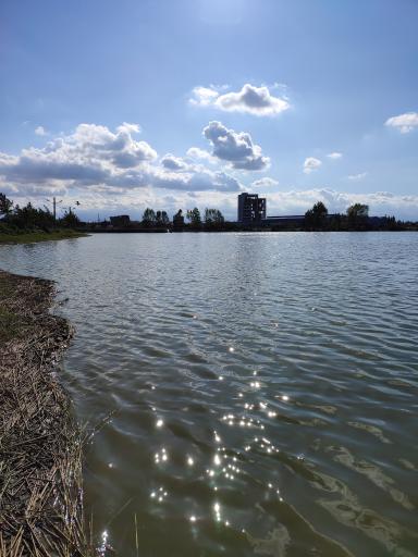 عکس تالاب موزیرج