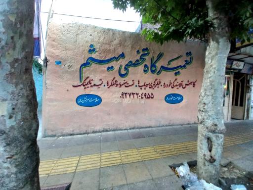 عکس اتو مکانیکی میثم 