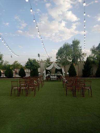 عکس آتلیه فیلم و عکس ستاک