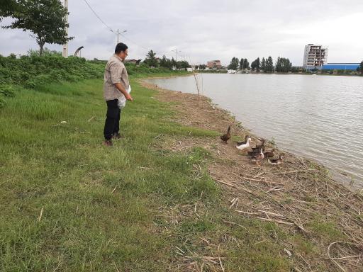 عکس تالاب موزیرج