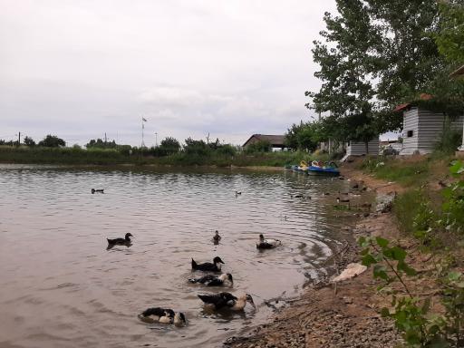 عکس تالاب موزیرج