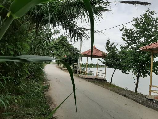 عکس تالاب موزیرج