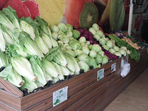 عکس میوه صدرا